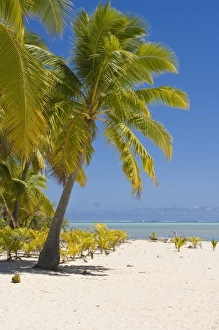 Cook Islands, Aitutaki. Beach on One Foot island Cook Islands, Aitutaki. Beach on One Foot island