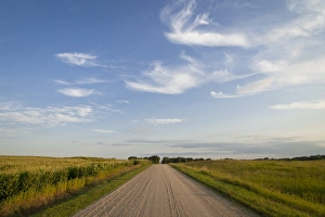 Glencoe, MN Landscape Print: Cornfield and Prairie