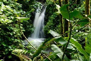 Costa Rica, Monteverde cloud forest waterfall Costa Rica, Monteverde cloud forest waterfall