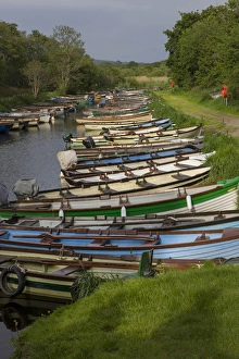 County Kerry. Killarney National Park. Ireland County Kerry. Killarney National Park. Ireland