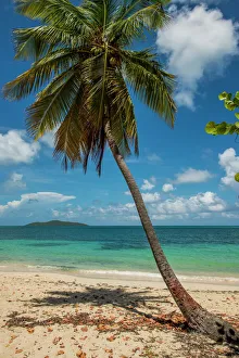Cramer Park Beach, St. Croix, US Virgin Islands Cramer Park Beach, St. Croix, US Virgin Islands