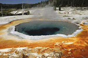 Upper Geyser Basin Prints: Crested Pool, Upper Geyser Basin, Yellowstone National Park, Wyoming, USA