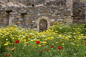 Crete. Greece. Europe. Island of Spinalonga. Old building and wildflowers. All buildings Crete. Greece. Europe. Island of Spinalonga. Old building and wildflowers. All buildings