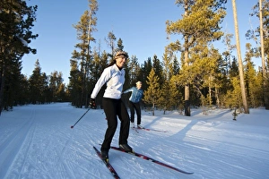Cross country skiers on the Rendezvous ski trails in West Yellowstone, Montana, USA (MR) Cross country skiers on the Rendezvous ski trails in West Yellowstone, Montana, USA (MR)