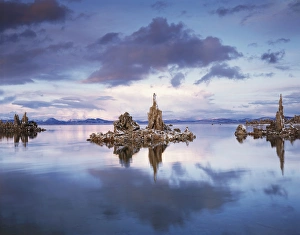 Large Format Landscape Prints: CTF-012