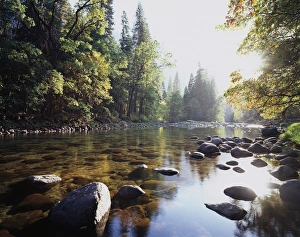 Serene River Scene Prints: CTF-050