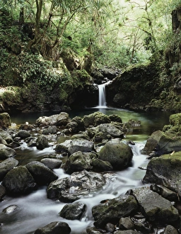 Tropical Rock Formations Prints: CTF-0849