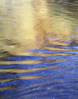 Autumn Rush Creek Reflection Print
