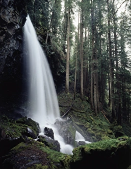 Oregon Waterfall Prints: CTF-1007