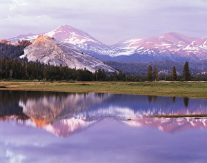 Sierra Nevada Mountain Range Photos Prints: CTF-1137