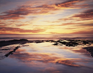 California Coast Photography Prints: CTF-1258