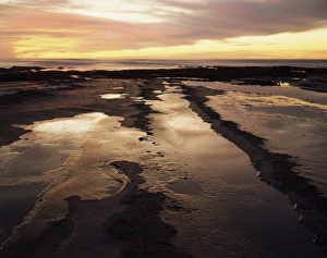 Natural Beauty Images Prints: CTF-1260