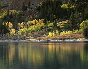 Nature Photography Landscapes Prints: CTF-1398