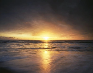 Peaceful Beach Scene Prints: CTF-1425