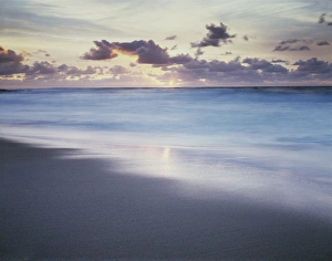Tranquil Coastal Landscape Prints: CTF-1745