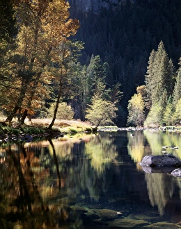 Fall Foliage Colors Prints: CTF-227