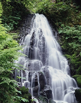 Waterfall Scenery Prints: CTF-264