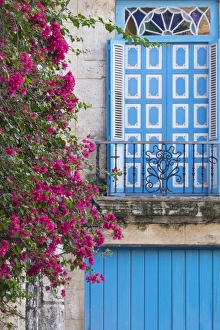 Cuba, Havana. Bougainvillea blooms near a balcony in the restored area of Old Town Cuba, Havana. Bougainvillea blooms near a balcony in the restored area of Old Town