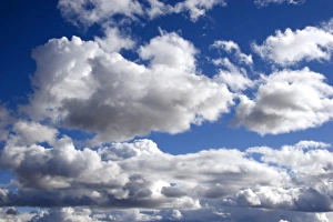 David R Frazier Photography Prints: Cumulus clouds against a blue sky