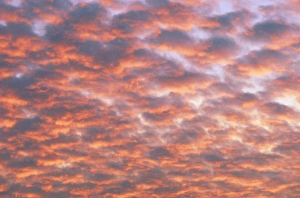 Colorful Evening Sky Prints: Cumulus clouds at sunset