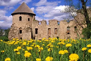 European Castle Landscapes Prints: Dandelions surround
