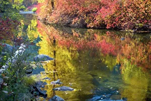 Deep Fall Colors Wenatchee River Stevens Pass Leavenworth Washington Deep Fall Colors Wenatchee River Stevens Pass Leavenworth Washington