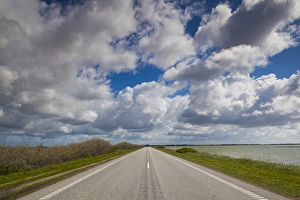 Denmark, Jutland, Oslos, Route 11 road by the Limfjorden Denmark, Jutland, Oslos, Route 11 road by the Limfjorden