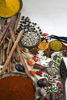 Different Types Of Spices Prints: Different types of spices