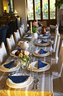The dining room table decorated and set with flowers and decorative vegetables for dinner The dining room table decorated and set with flowers and decorative vegetables for dinner