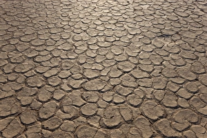 Dried clay pan, Dead Vlei, Namib Desert, Namibia Dried clay pan, Dead Vlei, Namib Desert, Namibia