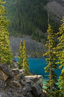 Early Morning, Moraine lake; Canadian Rockies; Banff National Park; Alberta; Canada Early Morning, Moraine lake; Canadian Rockies; Banff National Park; Alberta; Canada