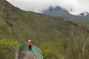 Ecuador, Banos, woman gazing at panoramic view at Ecozoologico San Martin (MR) Ecuador, Banos, woman gazing at panoramic view at Ecozoologico San Martin (MR)