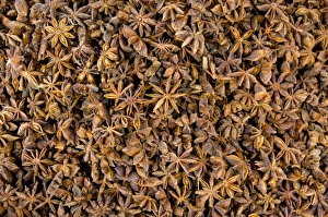 Ecuador. Famous Otavalo Market which dates back to pre-Inca times. Dried anise Ecuador. Famous Otavalo Market which dates back to pre-Inca times. Dried anise