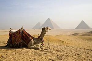Egyptian Pharaohs Prints: Egypt, Cairo. A