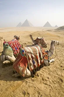 Cairo Cityscape Photography Prints: Egypt, Cairo. Resting