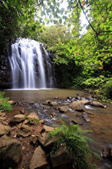 Ellinjaa Falls is one of three scenic waterfalls on the 15km Waterfall Circuit just Ellinjaa Falls is one of three scenic waterfalls on the 15km Waterfall Circuit just