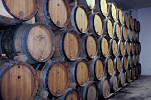 EU, France, Burgundy. Chablis winery, Barrel room EU, France, Burgundy. Chablis winery, Barrel room