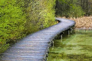 Europe, Croatia, Plitvice Lakes National Park. Wooden walkway over lake. Credit as Europe, Croatia, Plitvice Lakes National Park. Wooden walkway over lake. Credit as