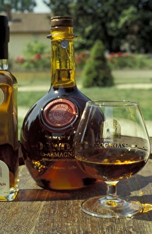 Europe, France, Aquitania, Armagnac. Armagnac is made from white grapes grown in Europe, France, Aquitania, Armagnac. Armagnac is made from white grapes grown in
