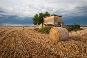 Europe, France. Hay bale in Provence field. Credit as: Ellen Anon / Jaynes Gallery Europe, France. Hay bale in Provence field. Credit as: Ellen Anon / Jaynes Gallery