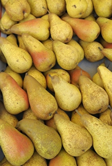 Europe, France, Paris. Pears, Thursday Market, Boulevard Saint-Germain Europe, France, Paris. Pears, Thursday Market, Boulevard Saint-Germain