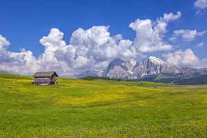 Europe, Italy, Dolomites, South Tyrol. Mountains and hut in meadow Europe, Italy, Dolomites, South Tyrol. Mountains and hut in meadow