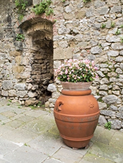 Europe, Italy, Tuscany, Montefollonico. Pot and flowers in the medieval town of Europe, Italy, Tuscany, Montefollonico. Pot and flowers in the medieval town of