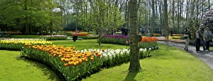 Europe, Netherlands, Holland, Lisse, Keukenhof Gardens in spring Europe, Netherlands, Holland, Lisse, Keukenhof Gardens in spring