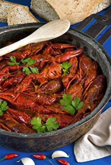European freshwater crayfish in tomato sauce (Austropotamobius pallipes) European freshwater crayfish in tomato sauce (Austropotamobius pallipes)