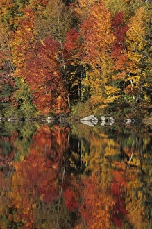 Fall color reflected in Lake Armington, White Mountain National Forest, United States Fall color reflected in Lake Armington, White Mountain National Forest, United States