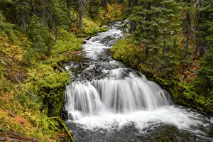 Fall Creek Falls, Deschutes National Forest, Oregon Fall Creek Falls, Deschutes National Forest, Oregon