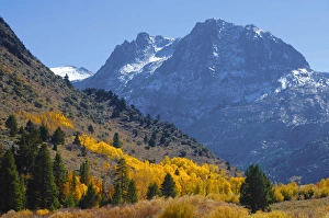 Sierra Nevada Mountain Landscape Prints: Fall in Eastern California