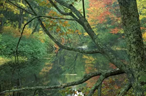 Images Dated 30th December 2003: Fall along the Lamprey River in Durham, New Hampshire
