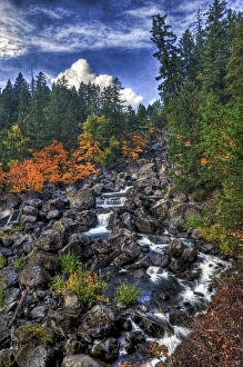 A fall scene of flowing water along the Empqua River in Steamboat Oregon A fall scene of flowing water along the Empqua River in Steamboat Oregon